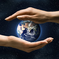 ICG Commerce ? The Evolution of a Successful Procurement BPO (Part 2)