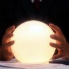 2011 CRM Forecast: A Look Back. How'd I Do, Vox Populi?