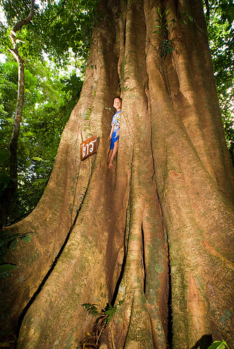Leo’s Sustainable Legacy: thoughts on SAP’s CEO changes.