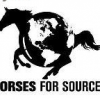 Friday Rant -- Procurement Outsourcing: Fersht's Anemic Sourcing Horse? (Part 1)