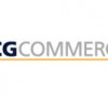 ICG Commerce's 2009 Results Suggest Procurement BPO Growth