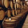 Spend Management Heads to the Wine Cellar: Time to Stock Up