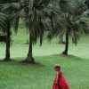 Friday Rant: SaaS and Data Integration is Not a Walk in the Park