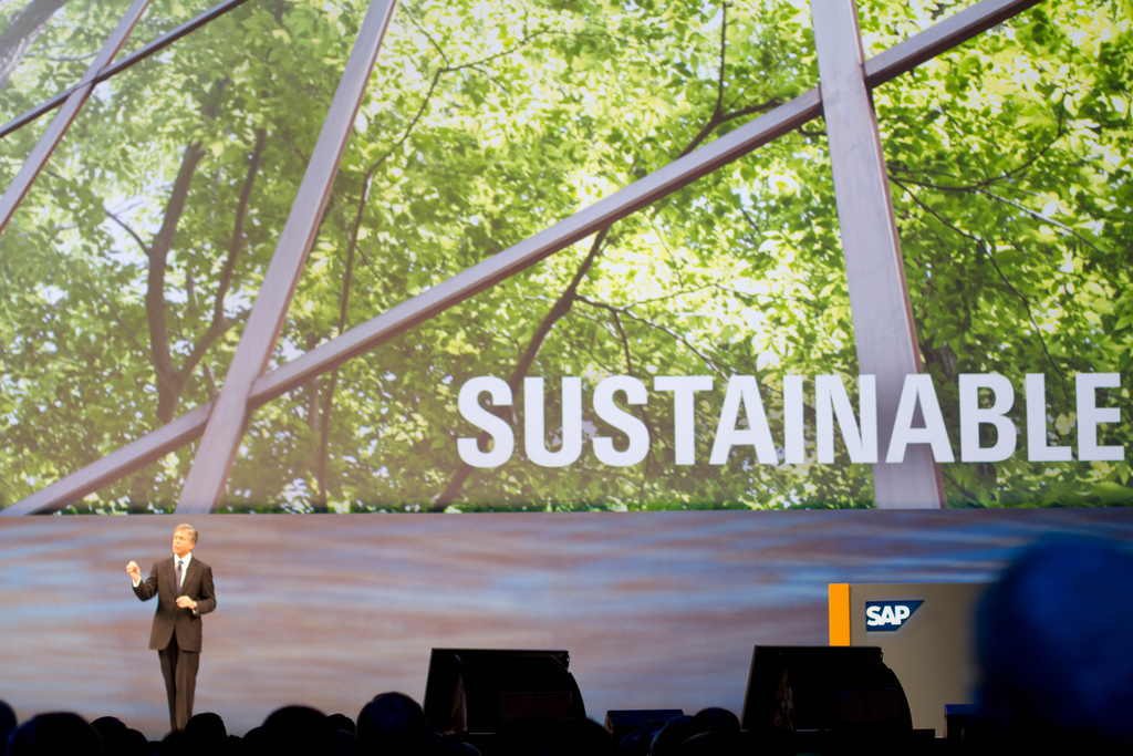 Sustainable SAP