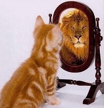 innovation - perception vs reality