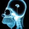 How vendor speak is shrinking our innovative minds