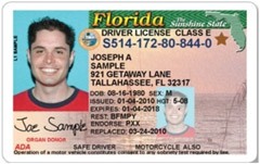 Hillsborough County Tax Collector – a Malcolm Balridge candidate