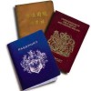 Immigration policy and the future of work