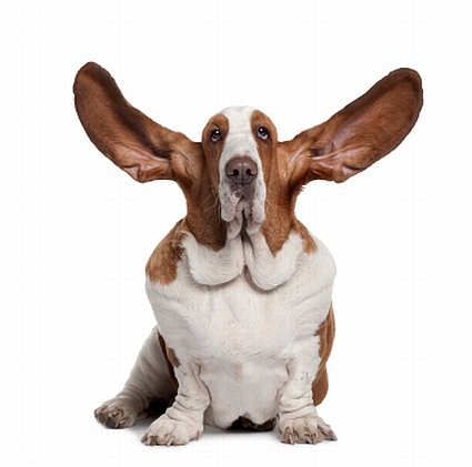 Twelve early warning signs of IT project failure
