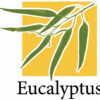 Eucalyptus 2.0