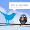Is Twitter Not Multitenant or What?