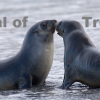 An industry template for trust in the cloud