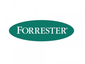 Procurement/IT Specific Lessons and Observations: Forrester’s Sourcing and Vendor Management Forum