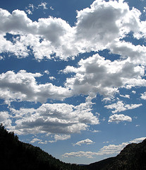 The Cloud and Infrastructure Management Services