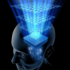 Image credit: www.knowledgemag.co.uk
