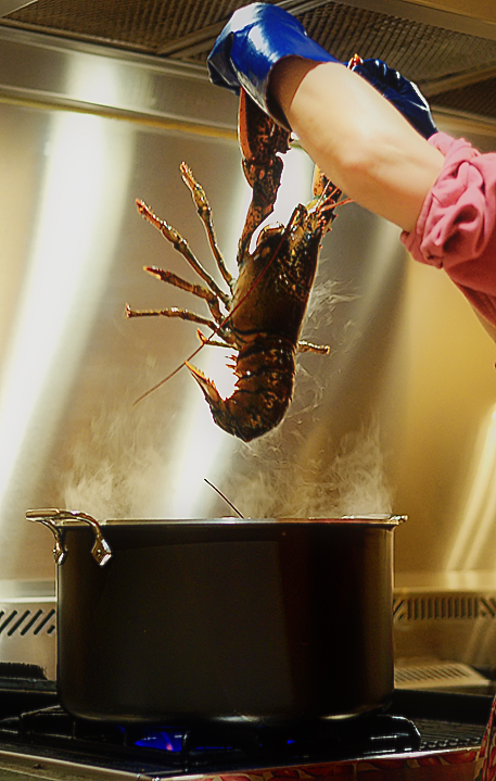 Tips to prevent 'cooked lobster' IT failures