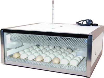 Year One Labs — The Perfect “Incubator”?