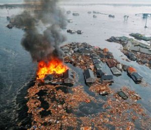 Firday Rant: A Post-Tsunami Survival Guide for Plugging Holes in Your Supplier Information Vacuum