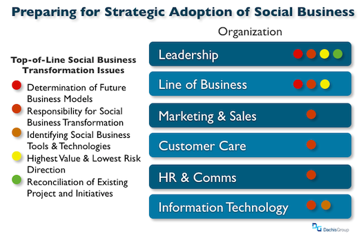 Organizing for social business: The issues
