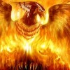 Celebrating the Phoenix