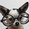 Innovation Myopia