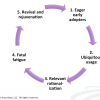 Monday’s Musing: Avoiding Social Media Fatigue Through Engagement