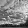 Cloud dancing: CIO perspective on SAP's cloud strategy