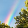 Evolution and opportunity: Going beyond IT failure