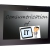 ITization of Consumers