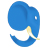 Uncovering the Agile Elephant