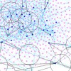 Successful Networks Require a Cross-Disciplinary Team