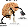 The Brains Behind Digital Marketing