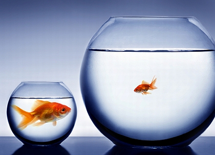 Enterprise systems: "Time to stop the madness"